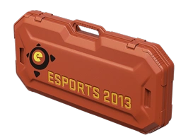 eSports 2013 Case