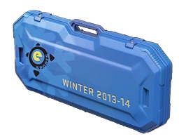 eSports 2013 Winter Case