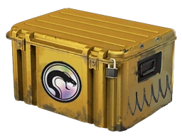 Recoil Case