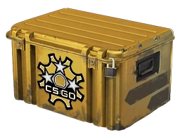 Revolver Case