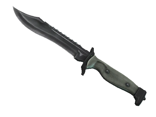 Bowie Knife